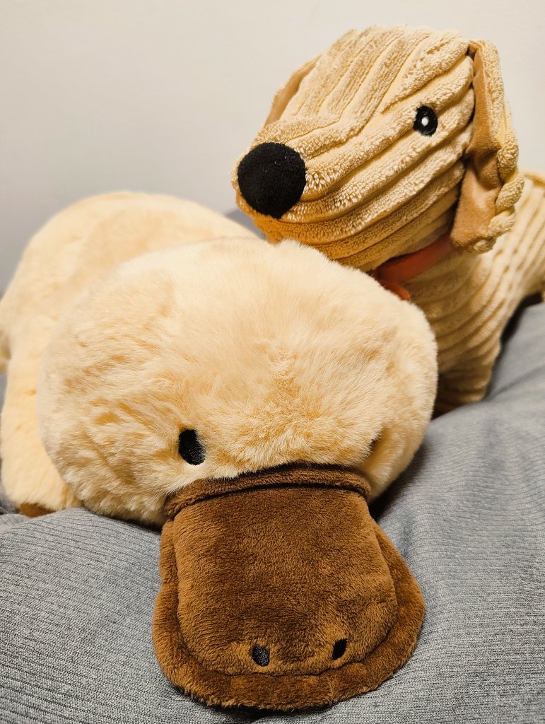 飴玉電圧 (@C_Voltage) / Posts / X