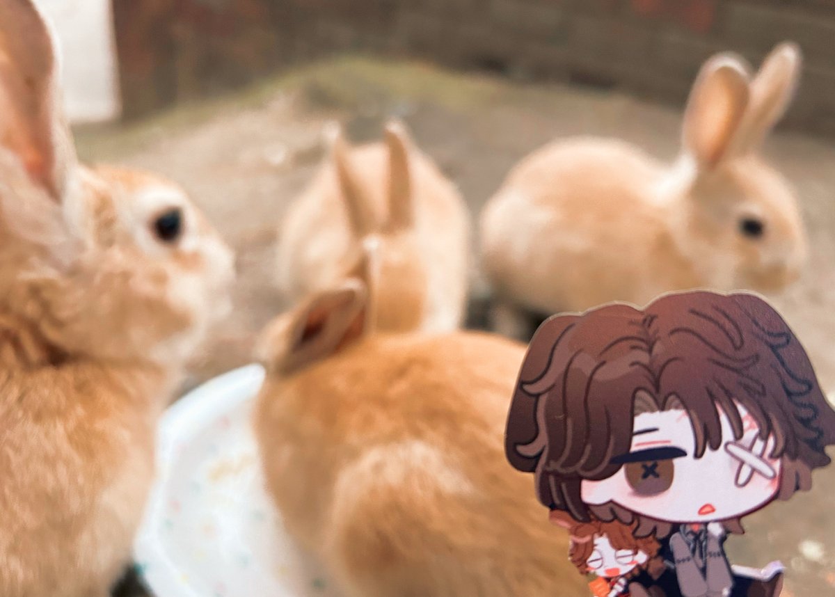 _void_void_0's tweet image. うさぎ島　仔うさぎ沢山見れた！！