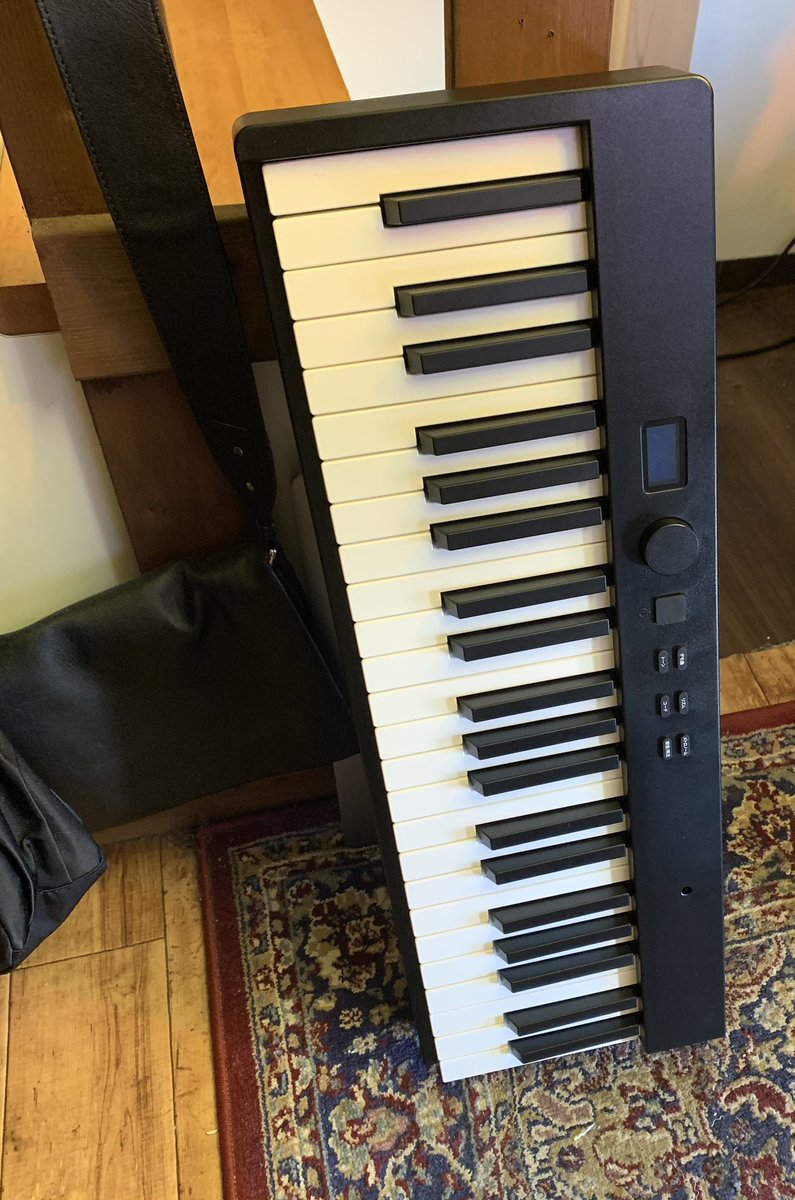 音楽の指導や授業などなどで、手元にピアノがあった方が良いと思い数年…
ついに持ち運べる折りたたみ式の88鍵電子ピアノを買いました！

これで無敵ぃ💪