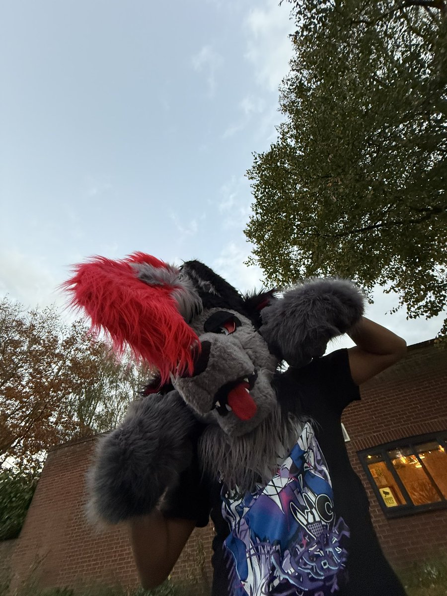Happy #fursuitfriday everyone we hope you have all had an amazing week and we are looking forward to seeing some of you tomorrow for our November furmeet.