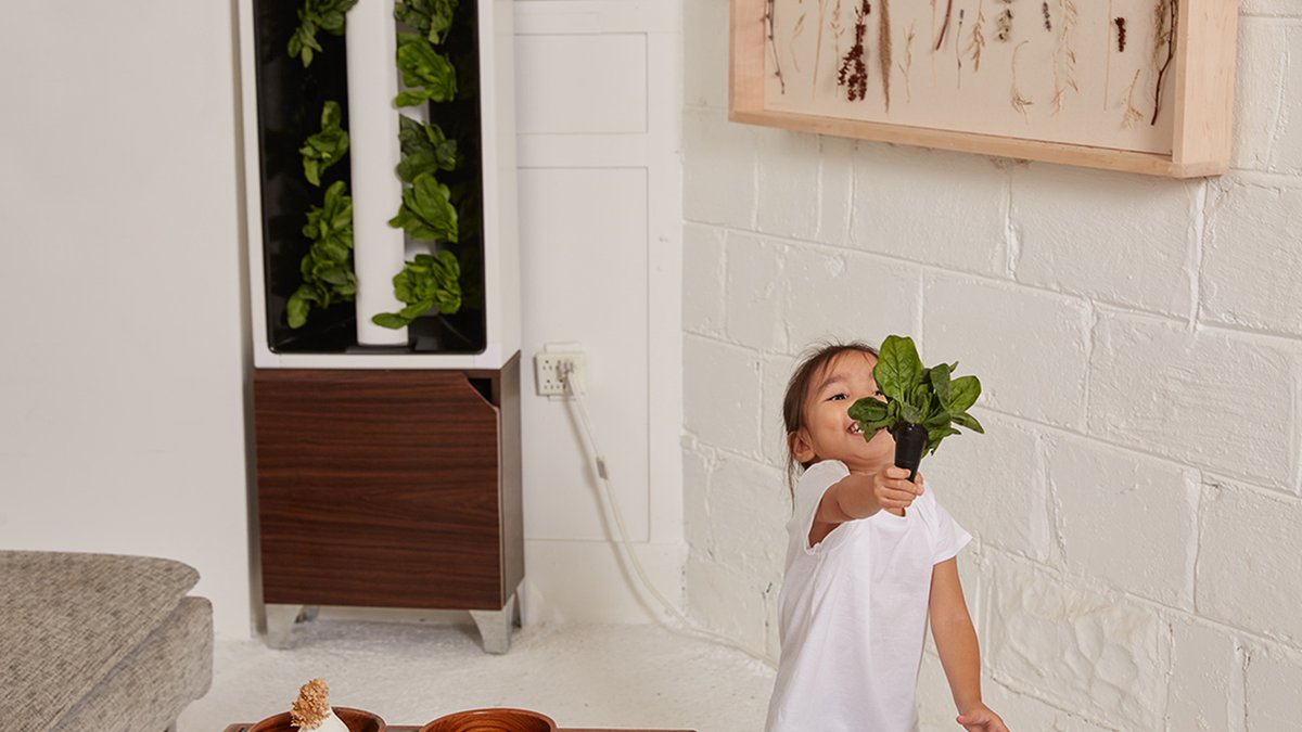 JustVertical tweet media