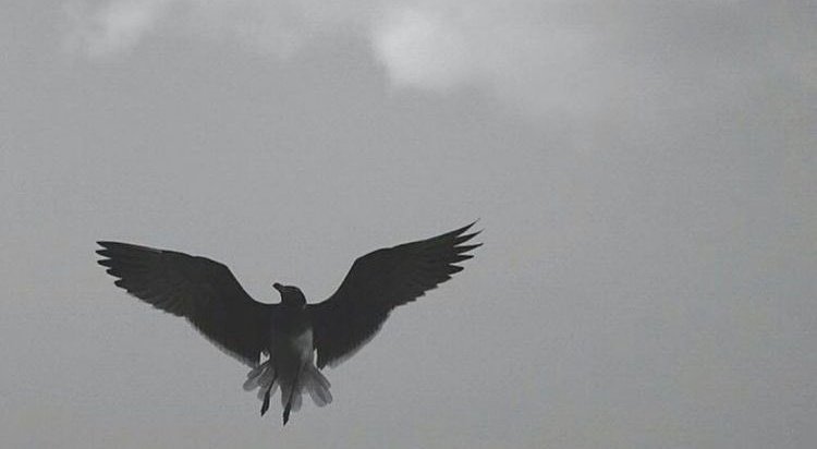 رحيل  من نحبهم مؤلم وحزنه في القلب لاينقضي وتذكّره في العقل لا يزول، ومهما حاولنا  نسيانهم  يعود علينا  شريط الذكريات  بين فينة وأخرى فنشعر بفراغ كبير لايمكن لأحد أن يسُدّ ذلك الفراغ  حينها لانملك إلا الدعاء لهم بالرحمة والمغفرة      اللهم ارحمهم  واجعلهم منعّمين في قبورهم