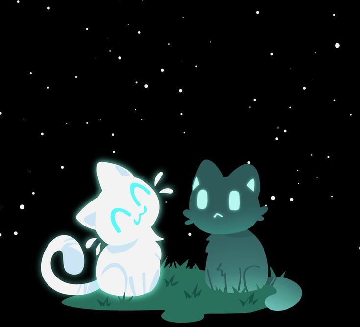 へ   ♡   ╱|、
     ૮  -   ՛ )      (`   -  7
       /   ⁻  ៸|       |、⁻〵
 乀 (ˍ, ل ل      じしˍ,)ノ