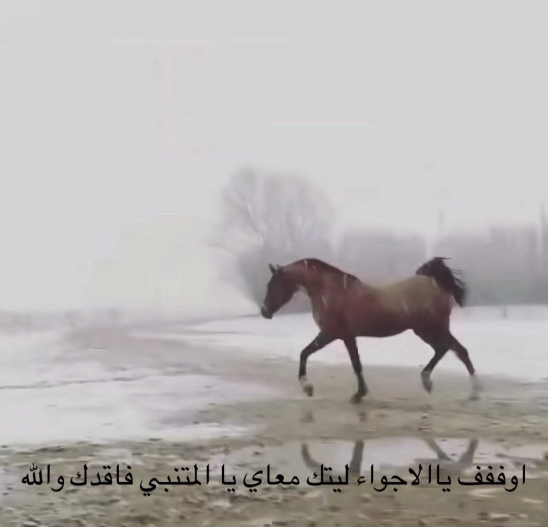 وحده ربي يسعدها (@danchou_13) on Twitter photo 