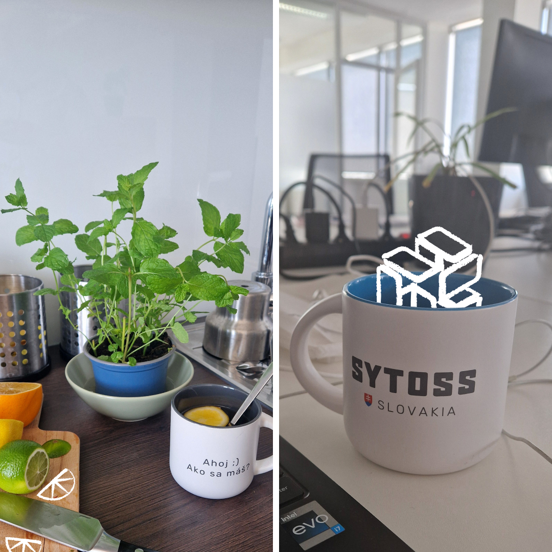 SYTOSS tweet media