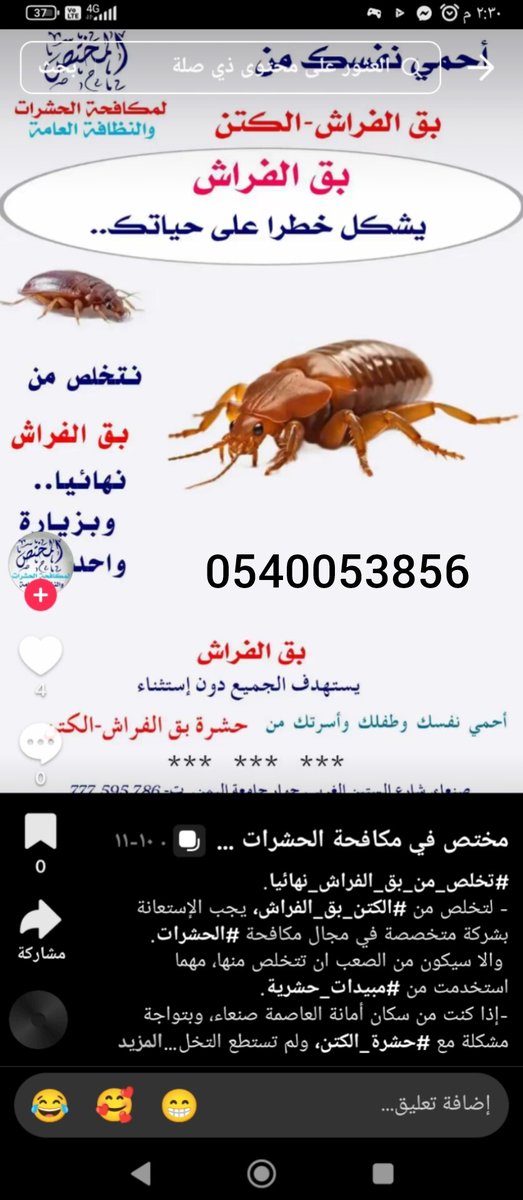 khadijahal23353's tweet image. كافح حشرات منزلك وحافظ على صحة اسرتك مع أفضل شركة مكافحة حشرات رش مبيدات الحشرات بالرياض بأعلى درجات الخبره والكفاءه رش مبيدات الحشرات بأقل الاسعار مكافحة حشرات نمل صراصير بق فراش وزغ بورص عقارب فئران رش مبيد حشري دخان الناموس الزباب الجراد النحل بأقل الاسعار 
#socideveloper_com