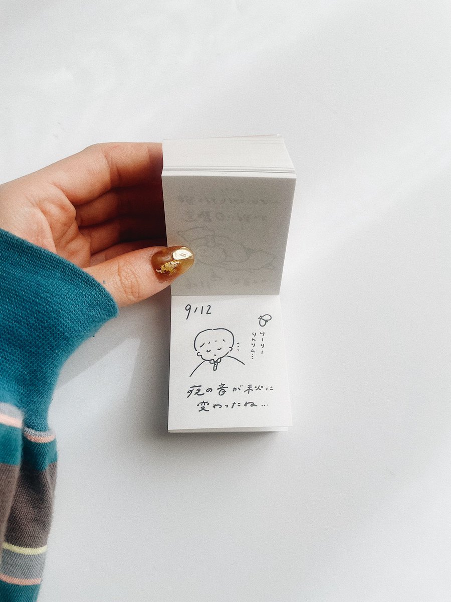 2026年版ひめくりカレンダー、

・中目黒 Space Utility TOKYOさん
・吉祥寺 GALLERY IROさん

にて販売中です〜！！✴︎
ぜひこの週末にゲットしてくださいね…🥰

※オンライン販売は12月上旬以降を予定しています。