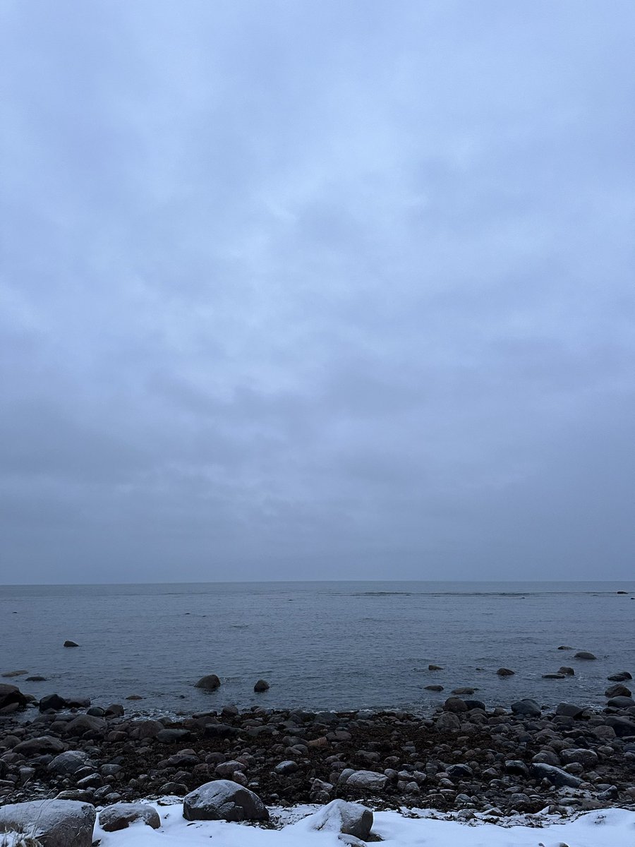 btleparadis's tweet image. Bon matin ❄️🤍❄️