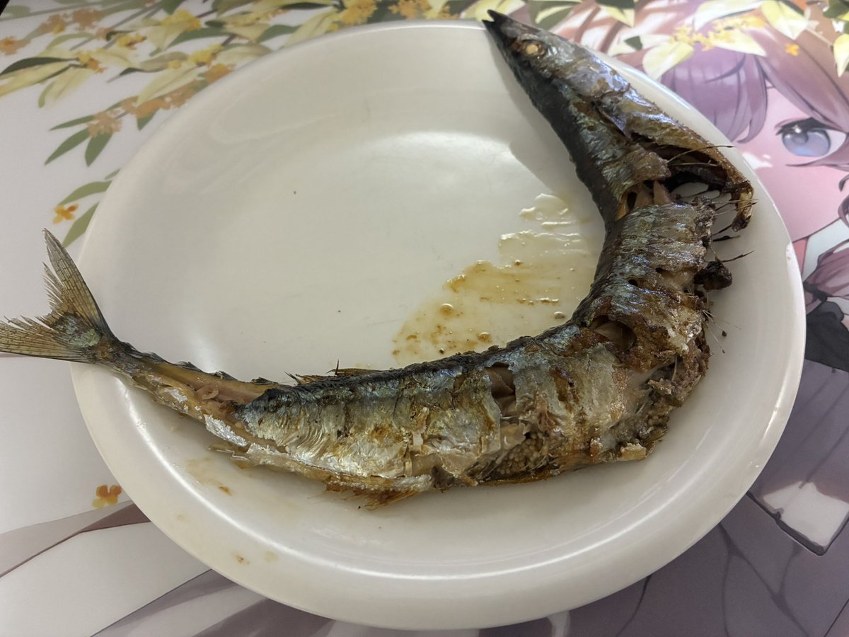 canon1567's tweet image. 昨日めちゃくちゃ推されたので