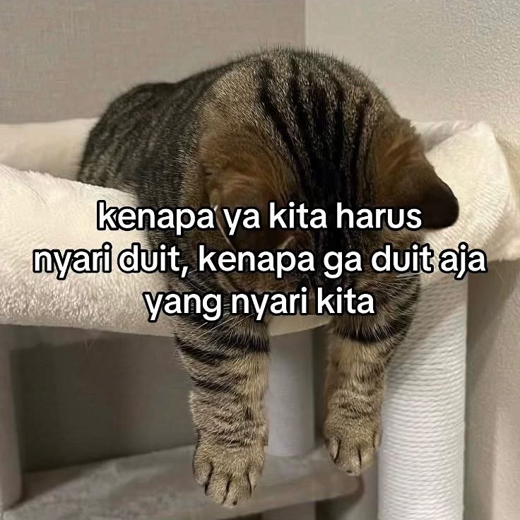 Nulva21's tweet photo. capek banget😂 https://t.co/pOJxfWBWtK