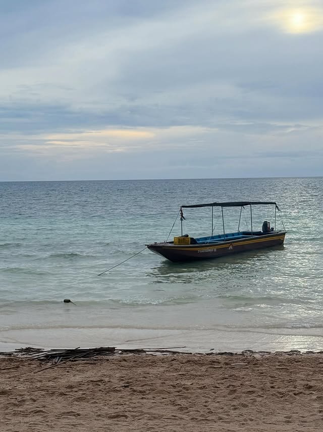 Simcha_Shoval's tweet image. 🙃