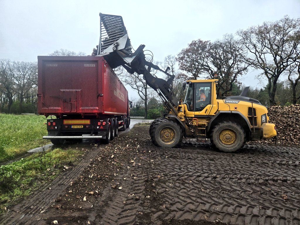 Suikerklontjes afleveren.