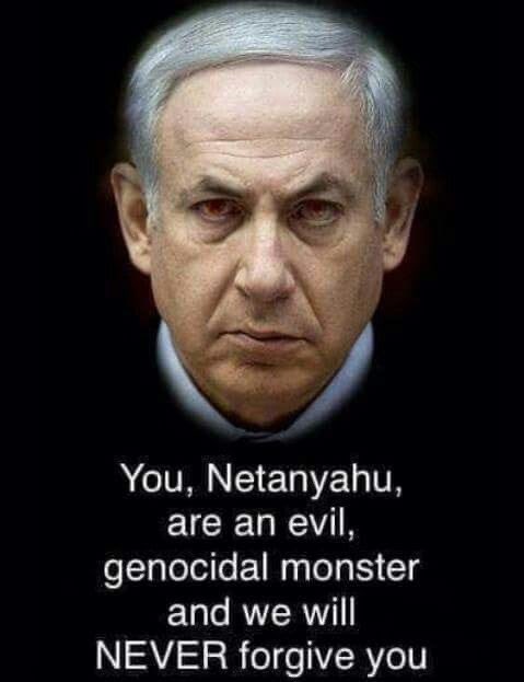 Nadira Ali🇵🇸 tweet media