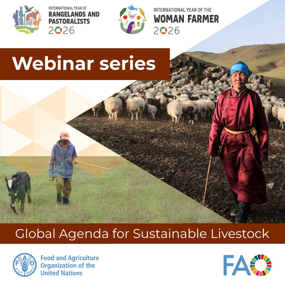 FAOLivestock's tweet photo. 🗓️ SAVE THE DATE

#GASL launches webinar series to celebrate #IYRP26 &amp; #IYWF26!

🤝 Let’s recognize together the contributions of pastoralists, rangeland communities &amp; women farmers to sustainable food systems and rural development. 
🌾👩‍🌾🌍

Find out more: https://t.co/ChiF4rTm3Y https://t.co/nPVQyLrINV