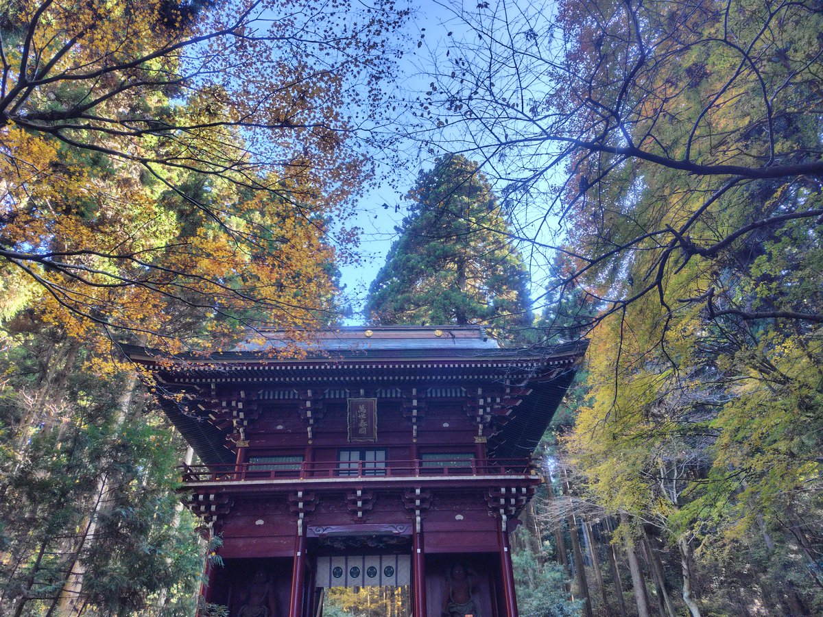 1567yumimi1636's tweet image. 今年も誕生日に御岩神社に行き御岩山に登ってきた。去年も今年も晴天。時刻も同じくらいなんで大して変わらない風景写真を撮ってきた。この1年変わった事は毎週の推し活は楽しくて沢山の人に出会った。職場でやるストレス度合いを見るチェックで昨年医者行けレベルが今年はノーストレス！推し活は健康