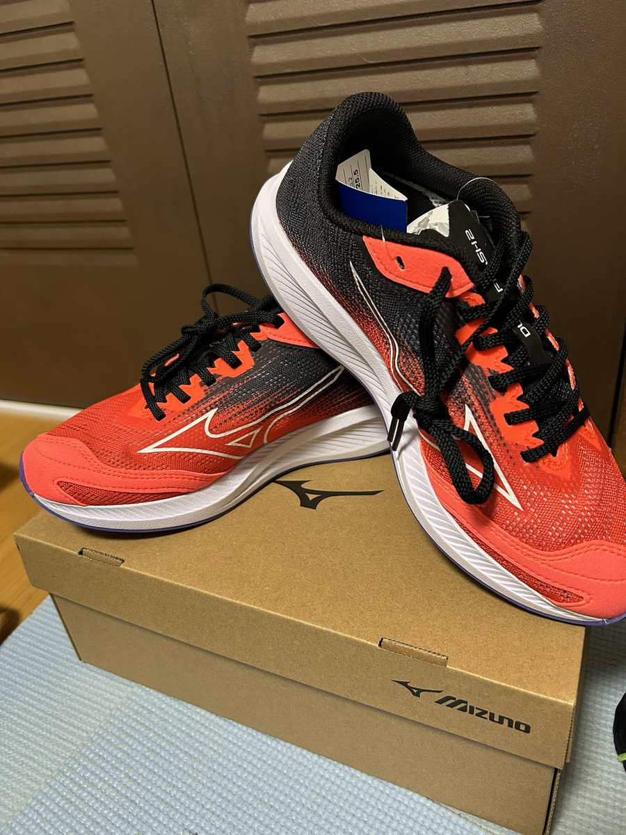 堀祐輔（ほりっち） (@yusukex186) / Posts / X