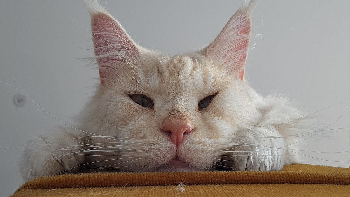 Mathookee's tweet image. T&apos;es mimi mon fils