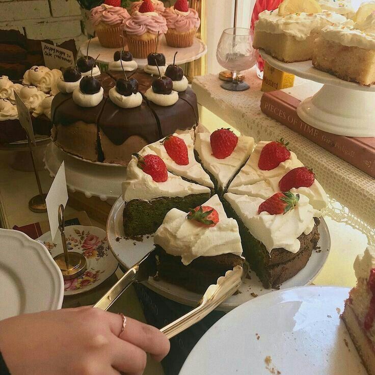 하빌리 tweet media