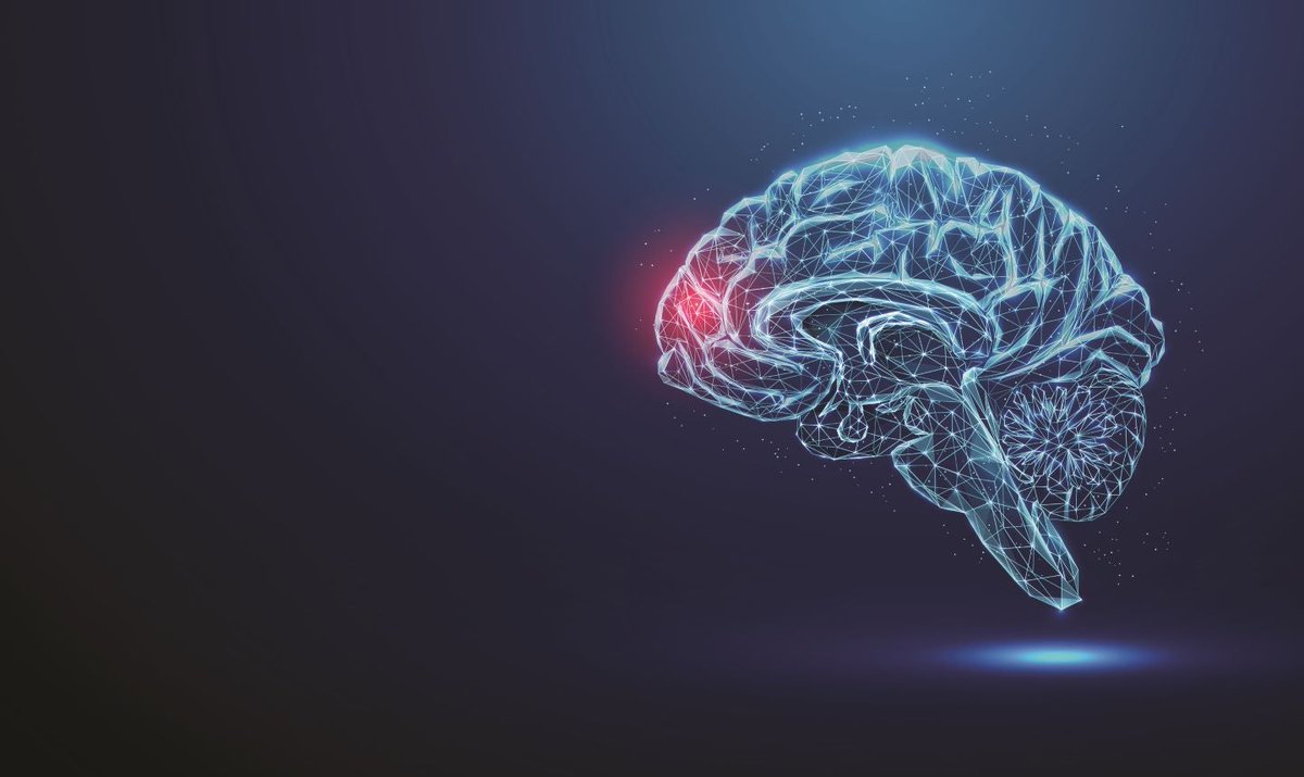 Epileptic seizure alert wearable set to launch in Europe in 2026

Commercialisation efforts for mjn-neuro’s EPISERA sensor in Europe will be handled by Neuraxpharma.

 medicaldevice-network.com/news/epileptic…