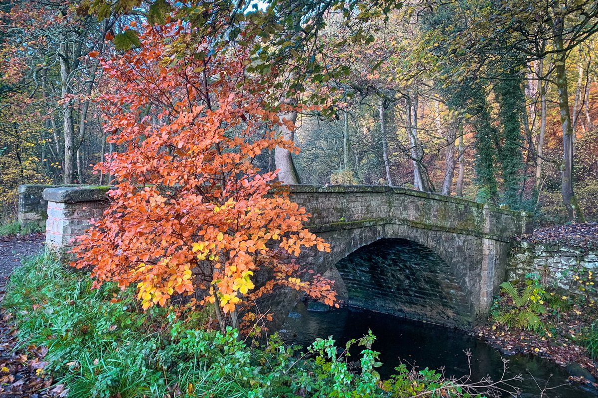 Another photo for the Packhorse Bridge over the Rivelin river.
 From Rivelin Valley Trail walk.
#PhotoFriday  #RivelinValley #TheOutdoorCity