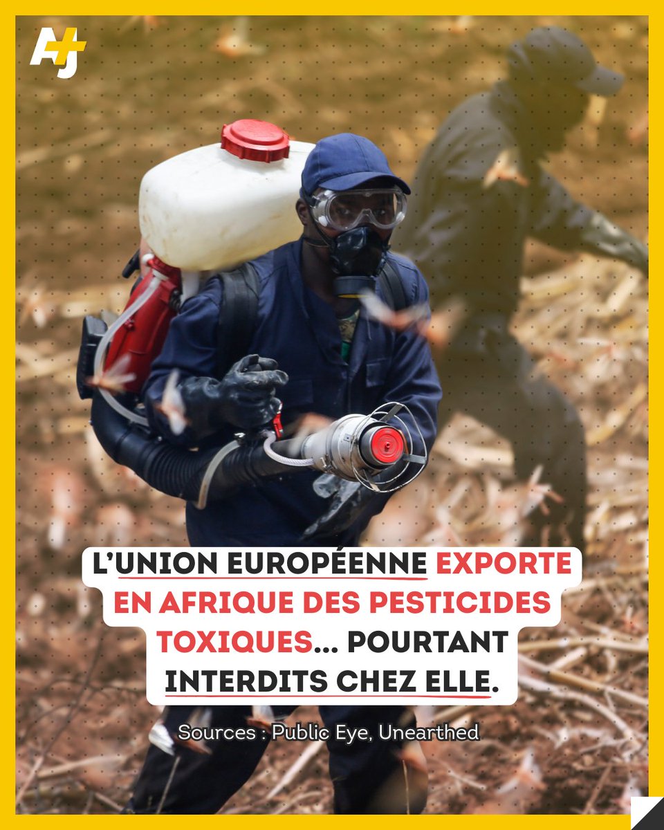 “Après avoir vaporisé le produit, j’ai commencé à ressentir une oppression à la poitrine. Mon visage a commencé à noircir, des boutons et des taches sont apparus, et ma peau a commencé à peler.”  

Ce témoignage d’une agricultrice sud-africaine utilisant un pesticide à la