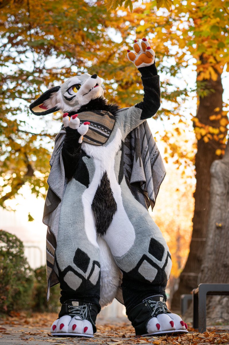 run_charizard's tweet image. Autumn scents
#FURSTCLASS