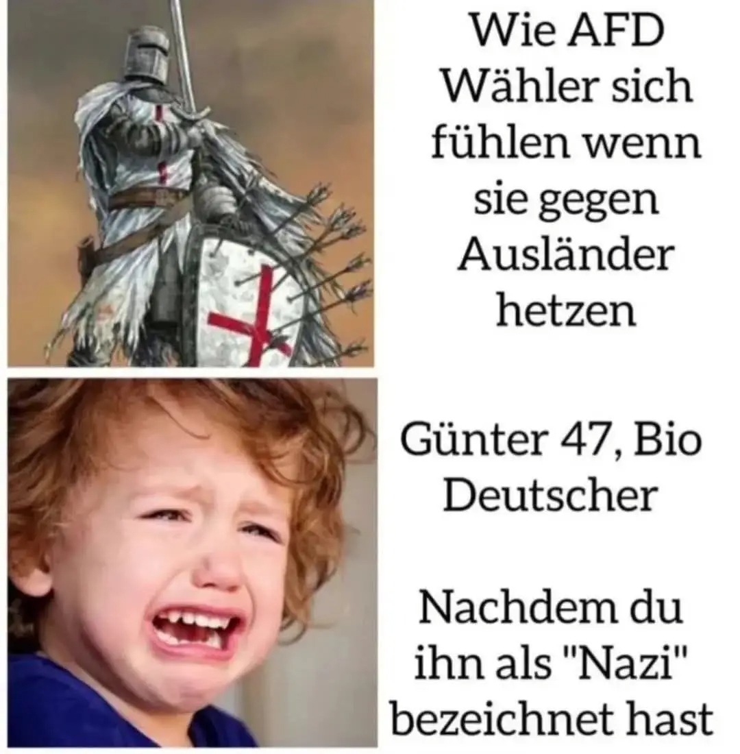 DaniWeicheL's tweet image. #wirsindmehr #fckafd #AfDVerbotJetzt #NieWiederIstJetzt #FCKNZS #Brandmauer