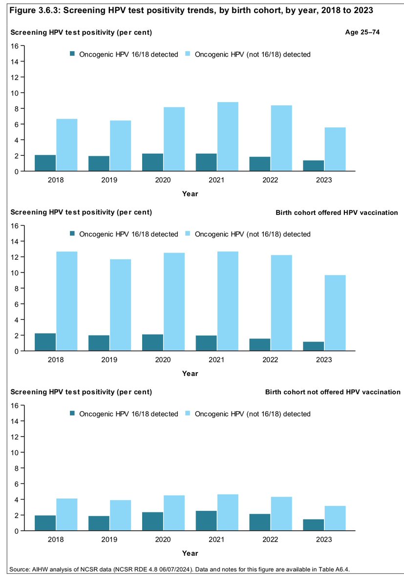 Azeb Mariam🌷 tweet media