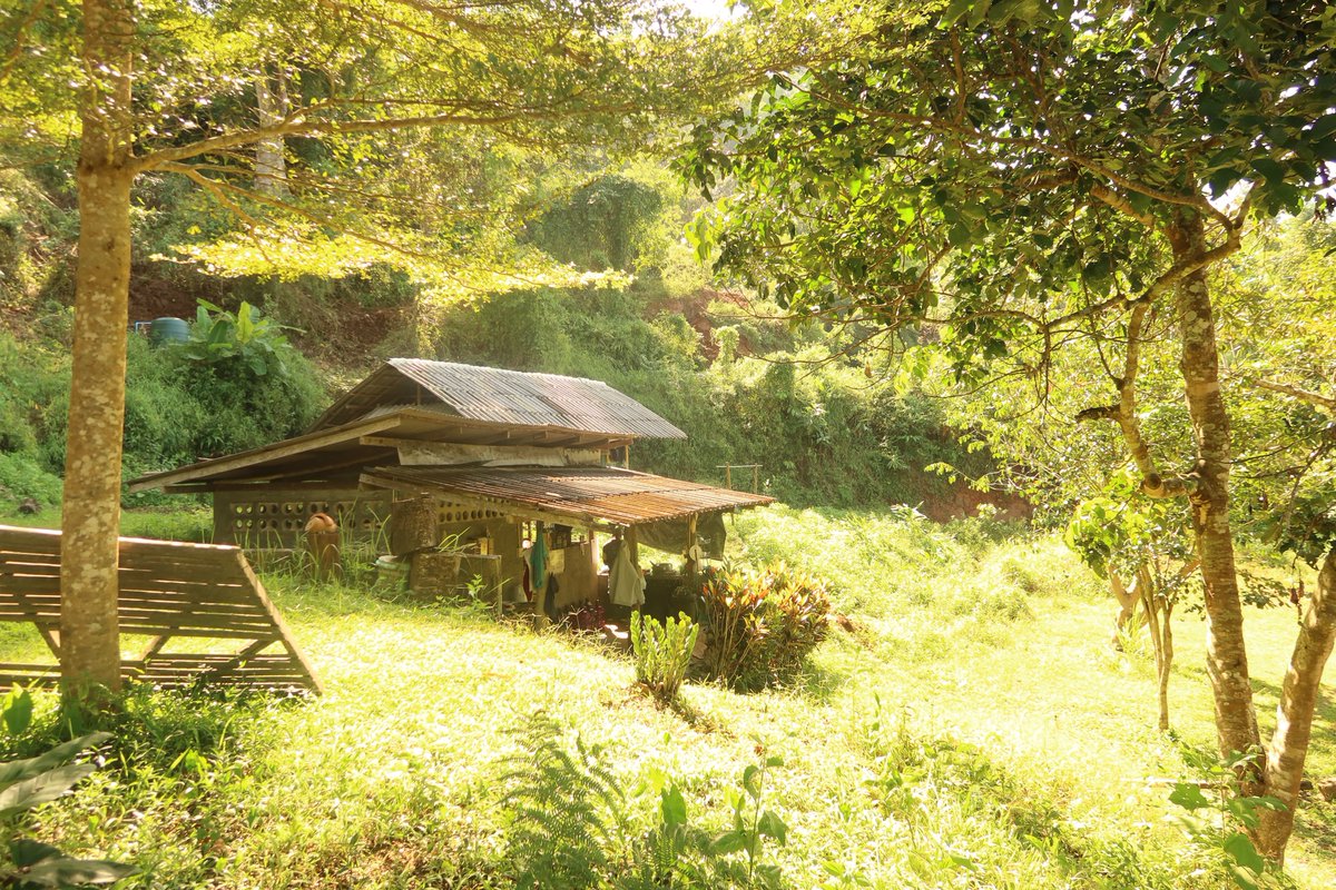 Çok az imkânla ama büyük bir mutlulukla fillere bakan bir aile çiftliğini ziyaret ettim; çocuklar küçüklükten sorumluluğu, sevgiyi öğreniyor. İnsan, doğasından ayrı kalınca öz değerlerinden de uzaklaşıyor. Doğa,toprak,hayvan sevgisi görmemiş, sevmemiş insandan yaradana sığınırım.