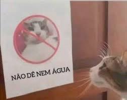 Lysz_zs's tweet image. Oie, eu sou a Gio! tudo bem com você? ε(´｡•᎑•`)っ 💕