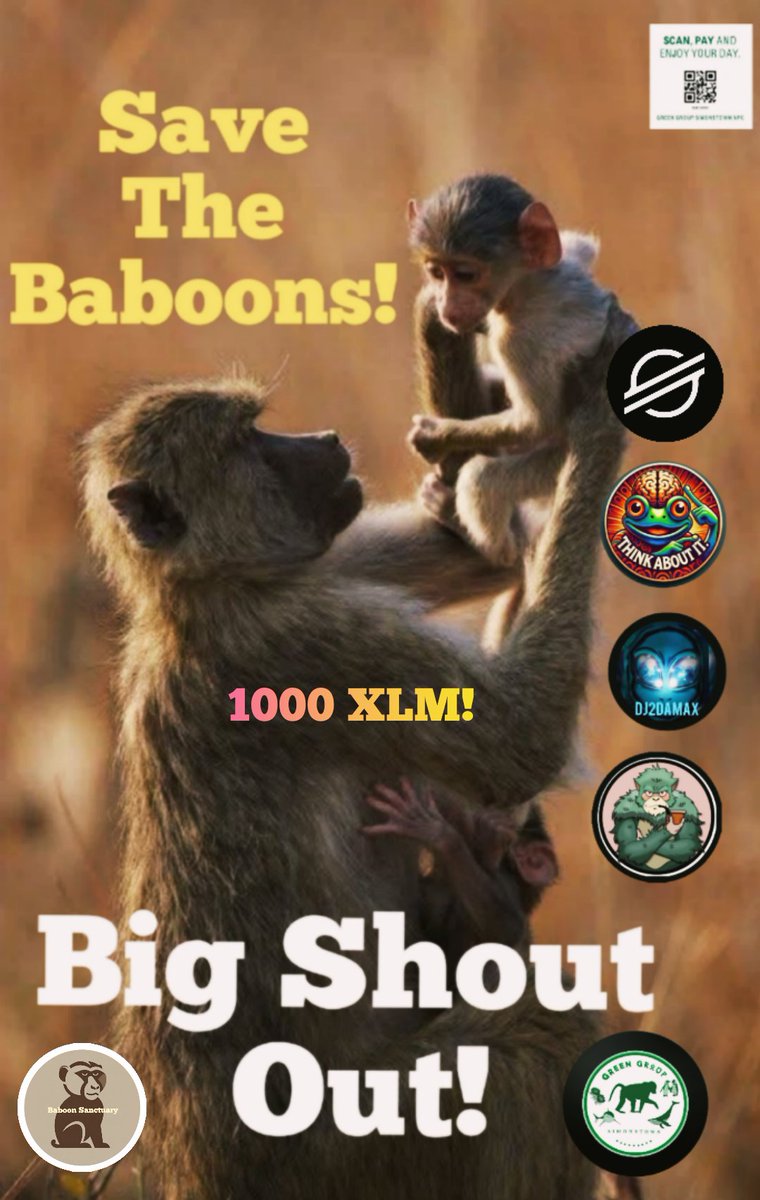Baboon Sanctuary (@BaboonSanctuary) / Posts / X