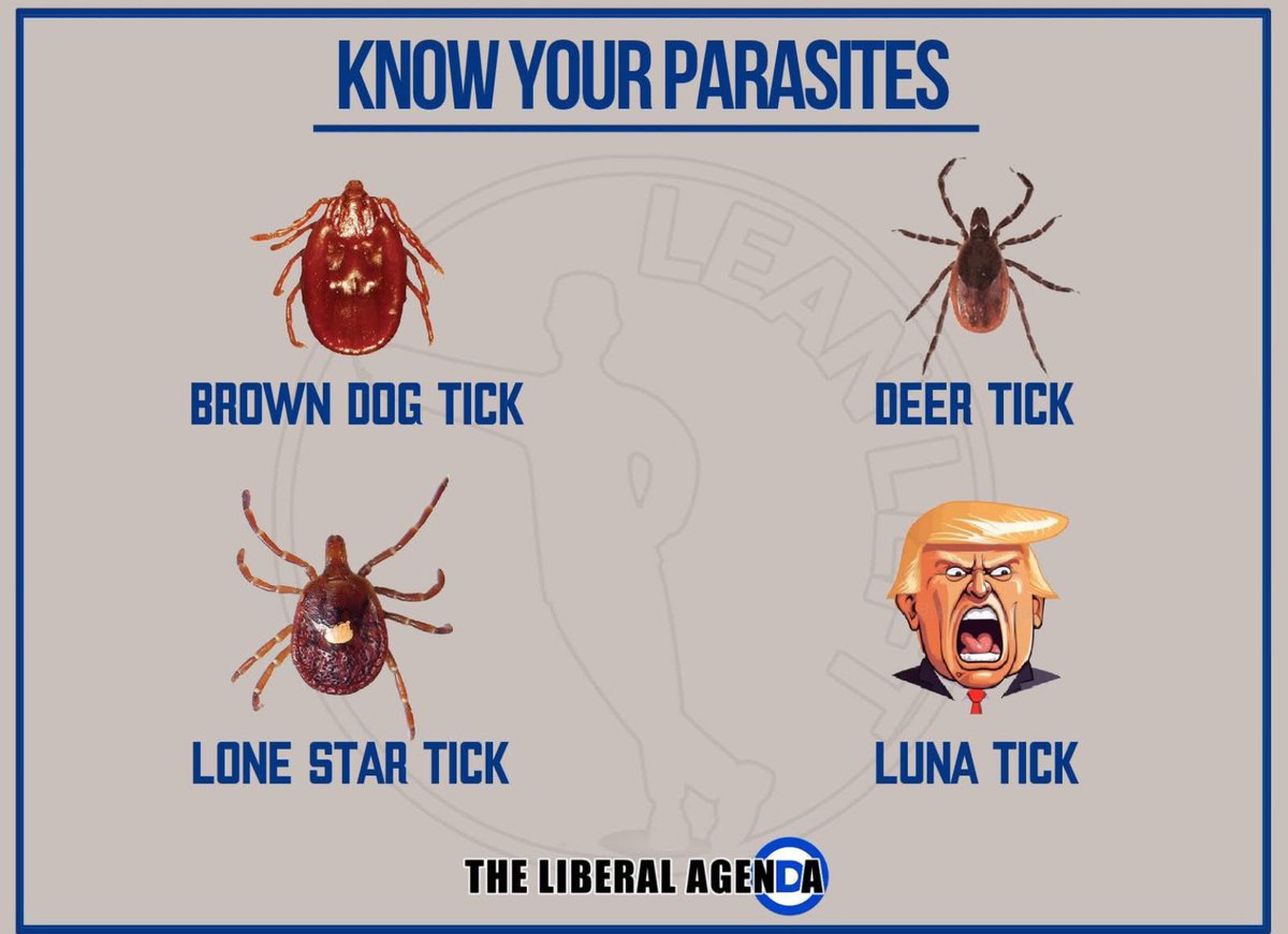 Susanna Oberli (@akadierin) on Twitter photo 