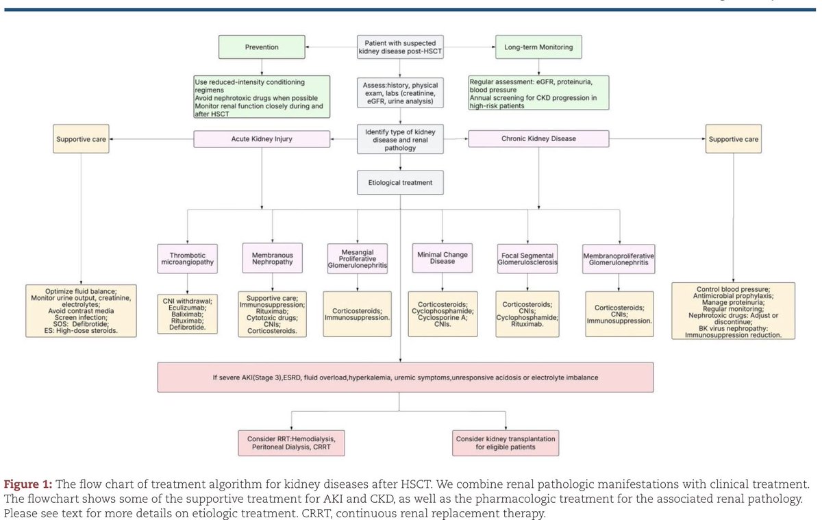 hardik4u24's tweet image. 🧬 #Kidney injury after #HSCT is multifactorial—but a structured approach saves kidneys

From #AKI ➡️ #TMA ➡️ #GN ➡️ #CKD, early recognition + targeted therapy is everything

📊Excellent flowchart for clinicians managing post-HSCT renal complications

🔗doi.org/10.1093/ndt/gf… 🆕