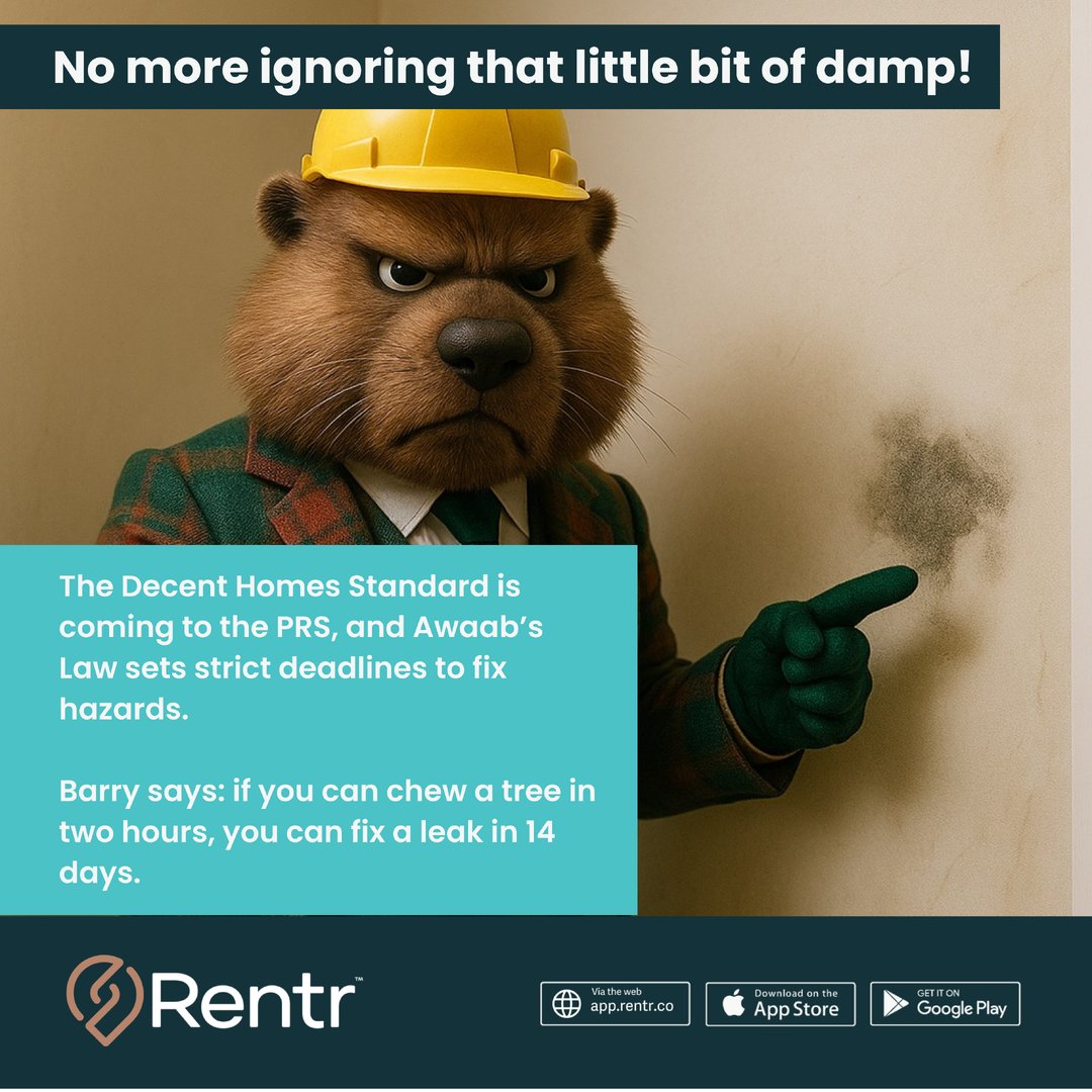 Rentr_co's tweet image. The Fix It Fast rule is here.
Decent Homes is coming to the PRS, and Awaab’s Law means you must investigate hazards within 14 days.
Barry says: fix the leak before it becomes a £40k fine.

#DecentHomes #AwaabsLaw #FixItFast #LandlordRepairs