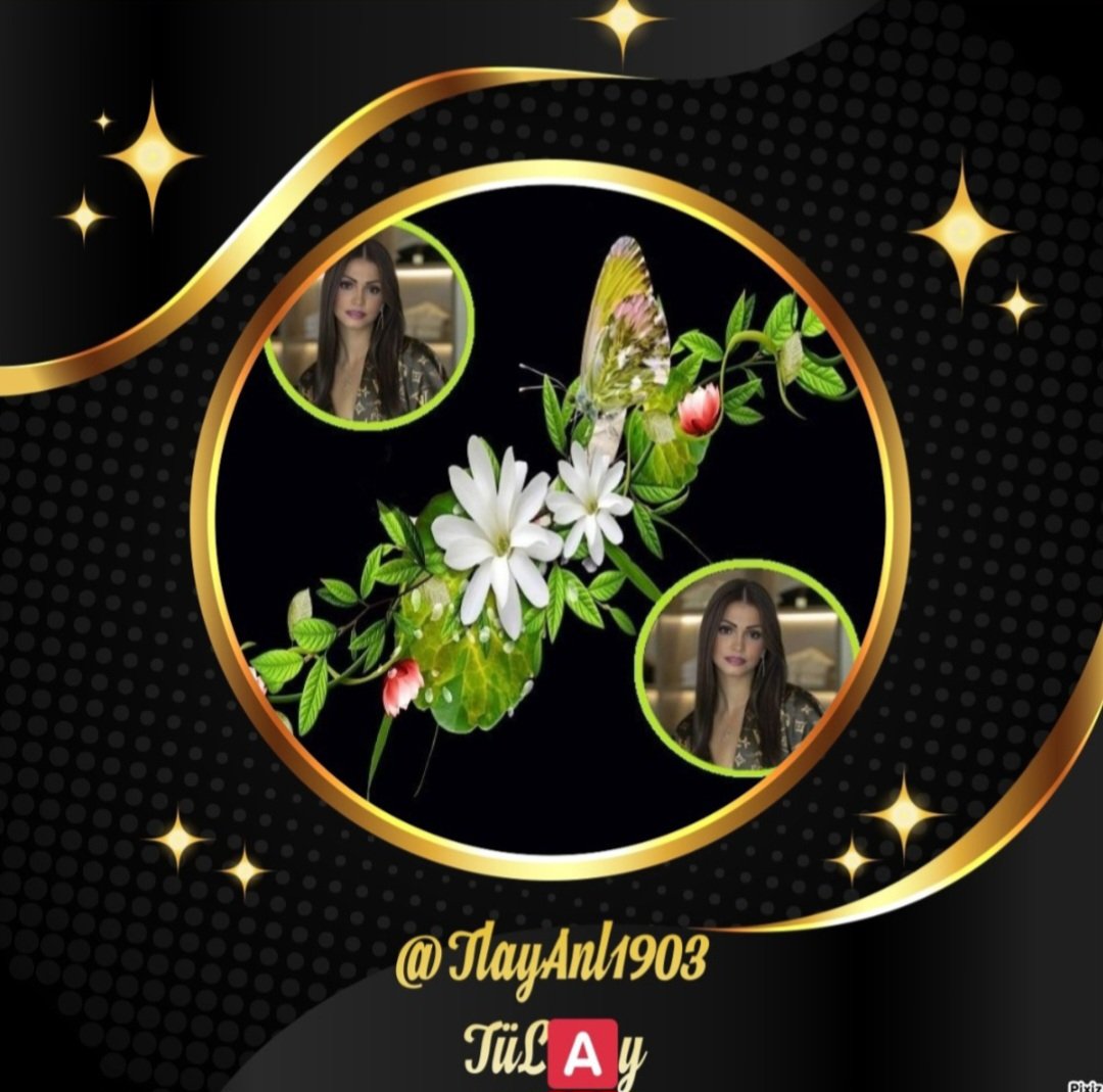 <a href="/al_bani_/">🇸🇩🇸🇦▄︻デA̸L̸--- B̸A̸N̸I̸ ══━一 🇸🇦🇸🇩</a> <a href="/J9Alv/">💫🕊🪻⑅⃝♡ 🆂🅰🅰🆀🅸 ♡⑅⃝🪻🕊💫</a> <a href="/oz35q/">σƶ∂εɱเ૨</a> <a href="/Al_Yafei1/">𓆲⚘𝑨𝒍-𝒀𝒂𝒇𝒆𝒊•🆇•ύʟ̤ɾɹɹɹב​⚘𓆲</a> <a href="/kamil_gk/">kamil ali gök</a> <a href="/RightEsc/">Awadhesh Kumar Mishra</a> <a href="/12ZZZ22/">دختور🔥🔥</a> <a href="/SEltaer/">Sayed zenhom altayar</a> <a href="/tbf1_/">ℛ𝒪𝒪ℋ 🔥</a> <a href="/133i1/">☼︎𝑫𝒆𝒎𝒐𝒄𝒓𝒂𝒕 عَـیْنَمّْ</a> <a href="/300R9/">‏꧁༒الᷝبـᷠـــᷧـــᷨـــᷞـــᷧـــاني༒꧂</a> <a href="/80DDP_/">haroon</a> <a href="/hame7/">🅷🅰🅼🅴🅳 🩸</a> <a href="/Ha_z_el_1/">💫𝐇𝐚𝐳𝐞𝐥</a> <a href="/girlfull78/">نمر الوردي</a> <a href="/zadzaid4/">zadzaid</a> <a href="/AbigirlRules/">Da Ice Queen❄️👑☄️ 💋💖💋❤️😻✌️♓</a> <a href="/somekalm/">Ramazan Hakkı Kalmaz®️</a> <a href="/kasikya2/">kasik ya 2 🔥Khalid</a> <a href="/me_____07/">مہحہمہد ❤️</a> <a href="/Y_O_U_S_1/">✨️ YOUSIF ✨️</a> <a href="/renuy305/">Renu Yadav</a> <a href="/SunilY93656/">Sunil Yadav</a> <a href="/7ttttU/">🕊🪻⑅⃝ ༒🇦ʟ___ʙᴀɴɪ ༒♡⑅⃝🪻🕊</a> <a href="/7U557/">النجوم الھیفاء</a> <a href="/8VV78/">Alexxander</a> <a href="/zs538029/">🔥akulizun🔥💯</a> 🦅🌠AཽLཽ_BཽAཽNཽIཽ🌠 🦅 

For the kind support
Thank you so much🤝
My friend 🕊🍁 🍂🍁 

╦═╗ 𝕃𝕖𝕥𝕤 <a href="/al_bani_/">🇸🇩🇸🇦▄︻デA̸L̸--- B̸A̸N̸I̸ ══━一 🇸🇦🇸🇩</a>  <a href="/q3q3d/">🦋‏الᷝبـᷠـــᷧـــᷨـــᷞـــᷧـــاني🦋</a> 
║╣⭕️∟∟⭕️Ꮤ <a href="/J9Alv/">💫🕊🪻⑅⃝♡ 🆂🅰🅰🆀🅸 ♡⑅⃝🪻🕊💫</a> <a href="/yeniyinex/">👠☆💍CiciŞ☆👛</a>
╩ 🅾🅻🇱🅾🆆 Ⓑ🅰️ⒸⓀ <a href="/7U557/">النجوم الھیفاء</a> 

<a href="/Spencerjames211/">Spencer James #GAINWITHPETAL #TMPETAL #Teamspirit</a> <a href="/arigatou163/">トーチウッド笹谷 amazon店</a> <a href="/_aditi_kumari_/">Aditi Kumari Singh 🐬#MGWV 🐬#1DDRIVE</a>  <a href="/FatimaSchmitt6/">Fatima Schmitt</a>
<a href="/TlayAnl1903/">TüL🅰️y</a> 💌 <a href="/Arkana_Buana/">🅰️rkana_🅱️uana</a>