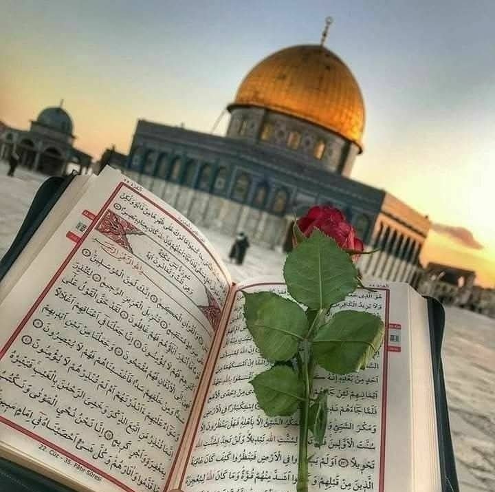 gulsahaksit1's tweet image. &quot;Sakın ümidini kesenlerden olma.&quot;

(15/Hicr, 55)