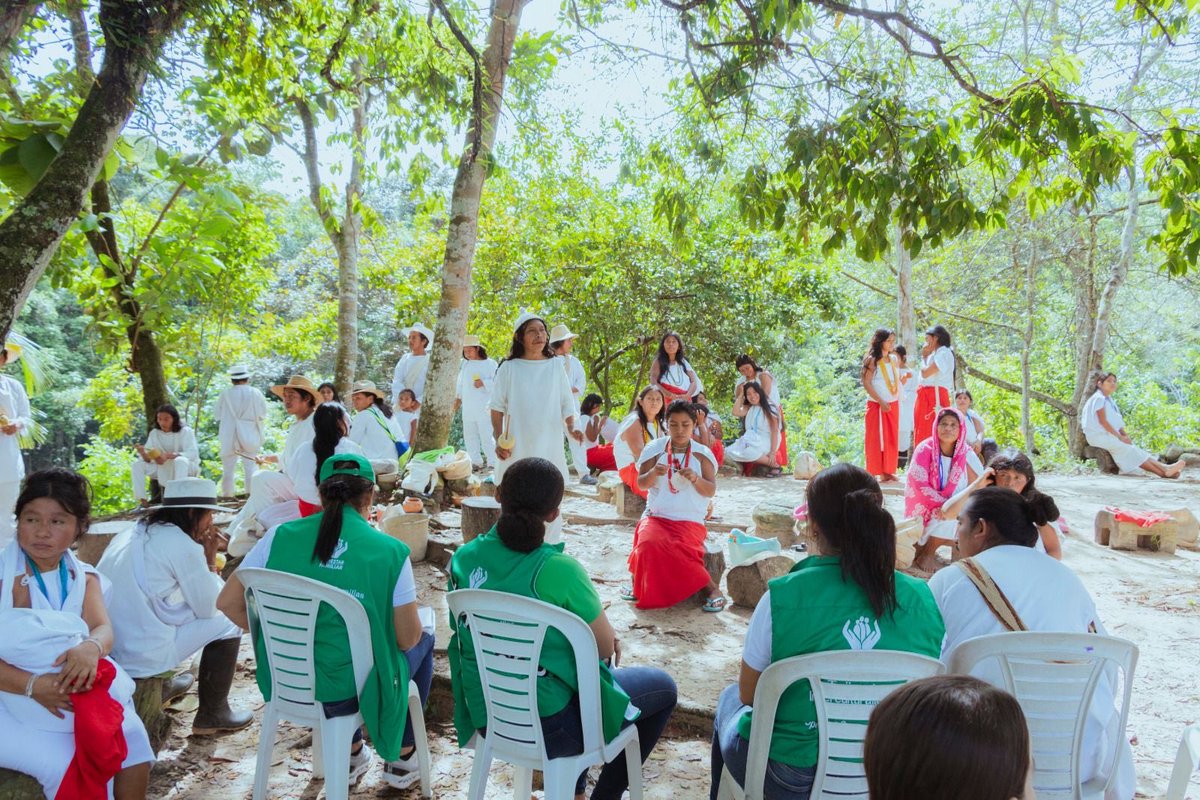 #BienestarMagdalena | Desde el servicio #TejiendoInterculturalidad en la comunidad wiwa de Gotsezhí fortalecemos la revitalización cultural del territorio. Destacamos saberes ancestrales, sitios sagrados, tejidos, plantas medicinales y la guía de las autoridades tradicionales.