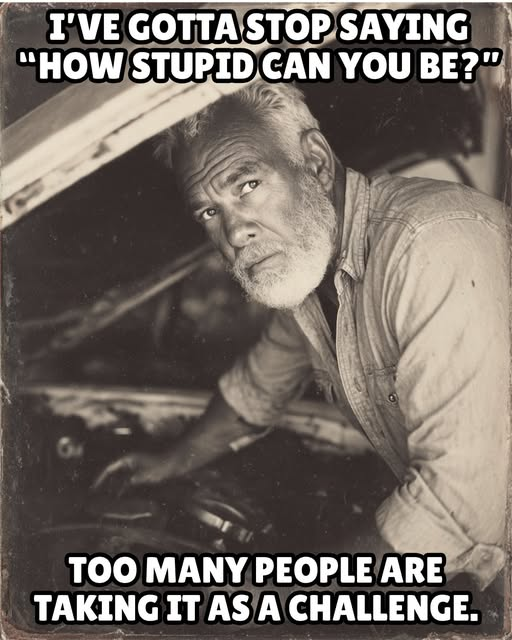 Fish4Fun3's tweet image. 