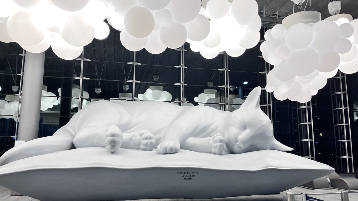 AAKASH (@get2aakash) on Twitter photo 