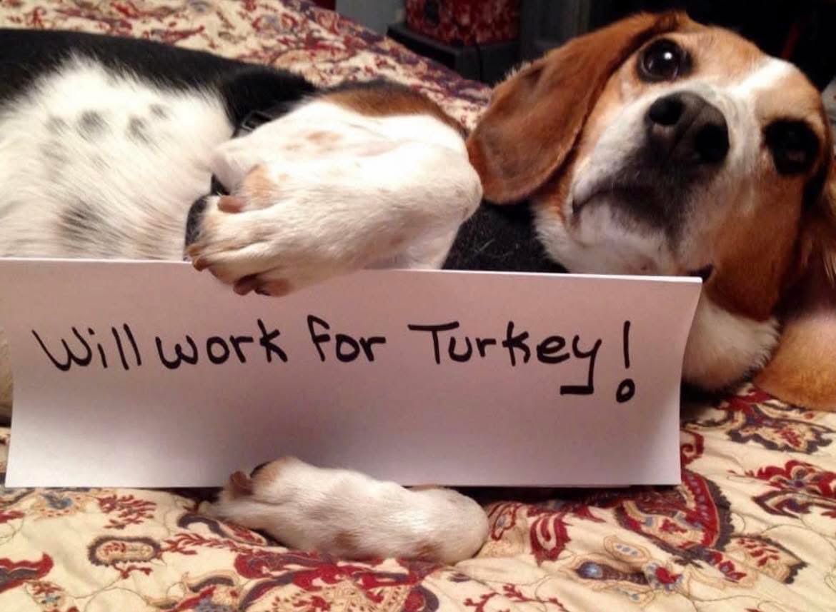 Just so we’re clear when chaos erupts next week, Outback tried to do things the honest way. #GH