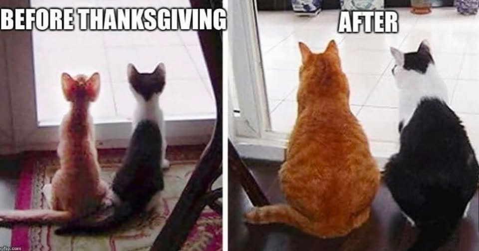 Fish4Fun3's tweet image. Can I get an Amen !! 😂