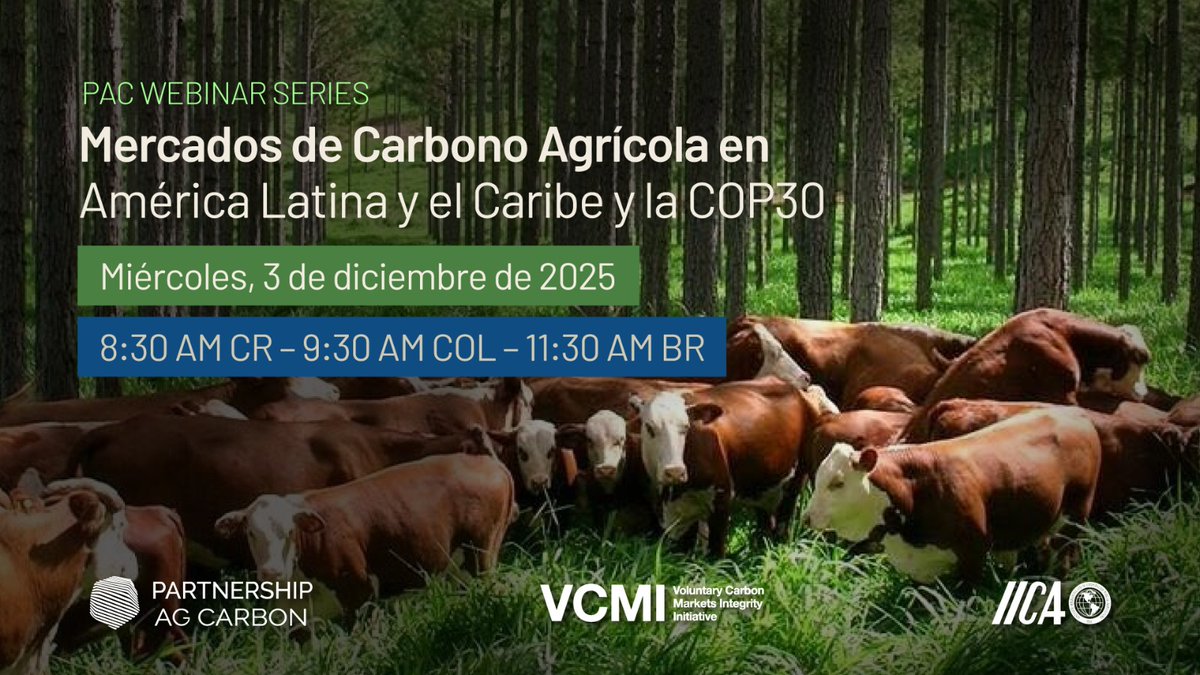¿Cómo transformará la COP30 el financiamiento climático para la agricultura en América Latina?

Acompáñanos este 3 de diciembre en la tercera sesión de la Serie de Webinars PAC:

 "Agricultura y COP30: Implicaciones para Mercados de Carbono en América Latina"
📅 Fecha: 3 de