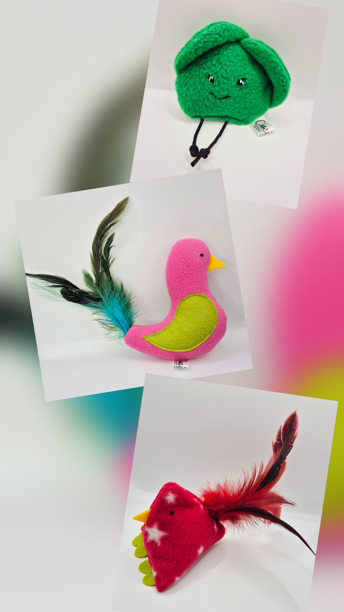 clasicats's tweet image. Birdies, chickens and sprouts ..what a collection of fab toys now available 
clasicats.etsy.com/listing/433852…
#CatsOfX 
#CatsOnX 
#catsontwitter
#CatsofTwittter 
#cats
#etsyshopuk
#catniptoys