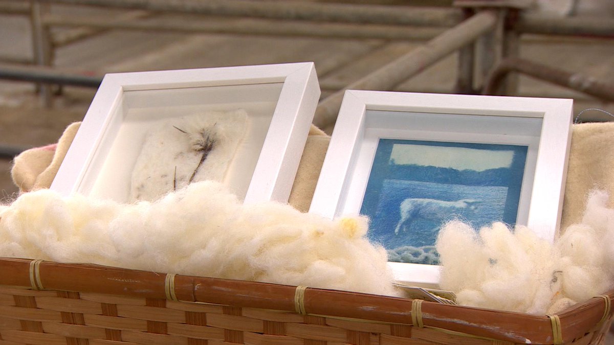 RTÉ Nationwide tweet media