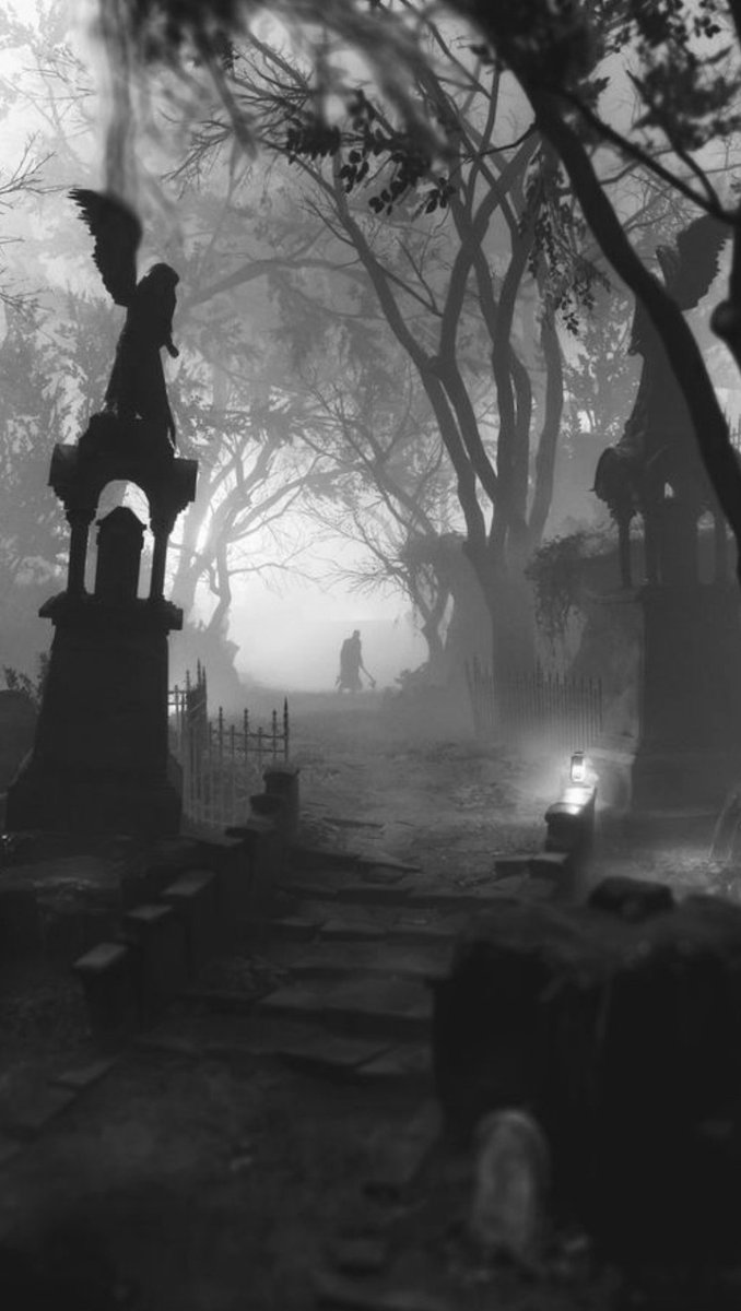 NIN75_'s tweet image. The garden........