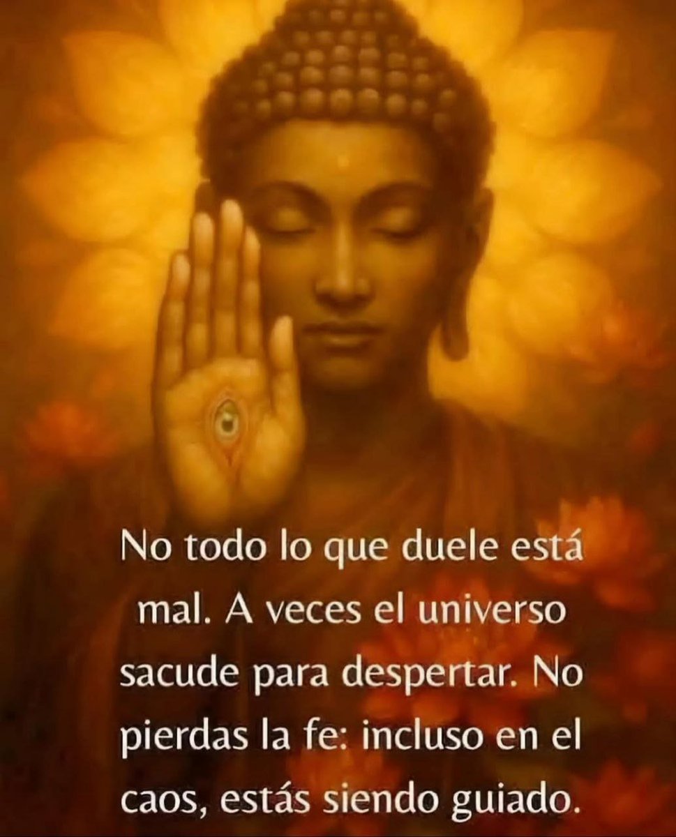 DanPon (@dani_pon86) on Twitter photo 