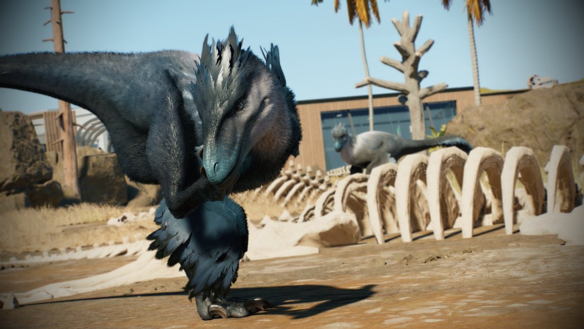 JWBiology's tweet image. Good Evening Park Manager&apos;s! 
Welcome back to Community Park 1.0, today&apos;s request was for a Utahraptor enclosure with a Sauropod Graveyard Theme.

youtu.be/GSO65EjPtsU

🦖 - @JW_Evolution 

#JurassicWorld 
#JurassicWorldEvolution 
#JurassicWorldEvolution3