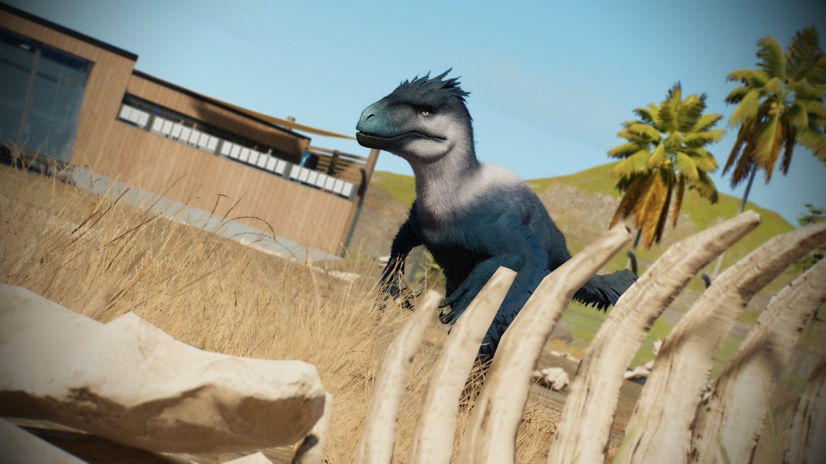 JWBiology's tweet image. Good Evening Park Manager&apos;s! 
Welcome back to Community Park 1.0, today&apos;s request was for a Utahraptor enclosure with a Sauropod Graveyard Theme.

youtu.be/GSO65EjPtsU

🦖 - @JW_Evolution 

#JurassicWorld 
#JurassicWorldEvolution 
#JurassicWorldEvolution3