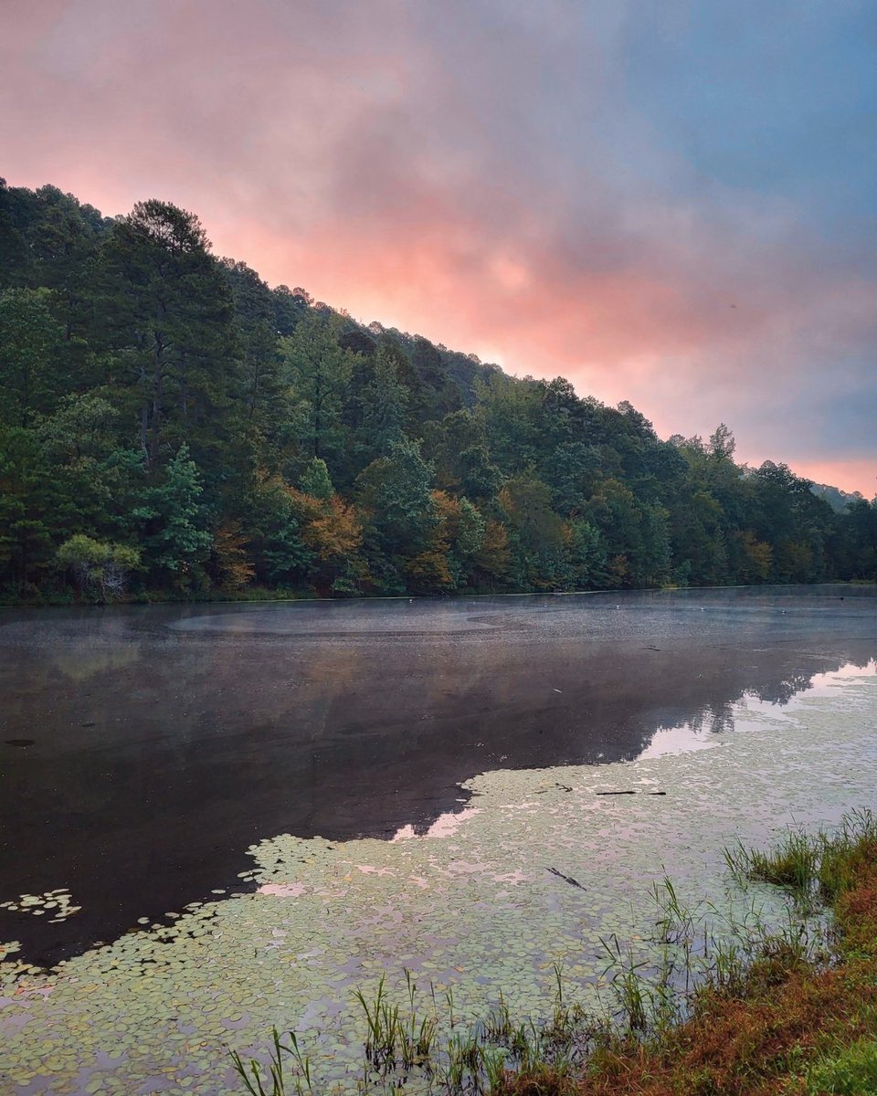 Eden Project tweet media