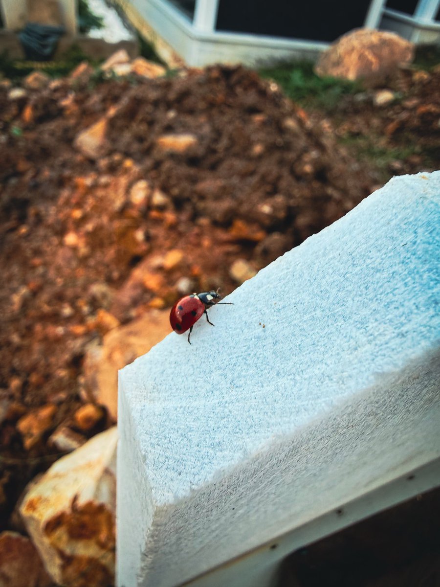 dincbileka's tweet photo. elbet bir gün buluşacağız 
28.11.2024 https://t.co/TSo8l7Bf3l